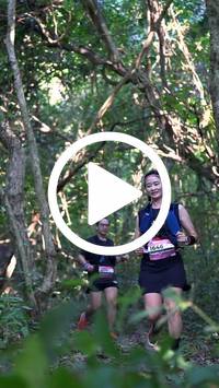 BIB:  <button type="button" onclick="openModal(28056326)" class="btn btn-primary btn-sm float-right" data-toggle="modal" data-target=".modal-high-quality">
                <i class="fa fa-download"></i> Download
                </button>